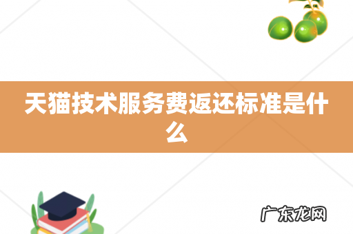 天猫技术服务费返还标准是什么