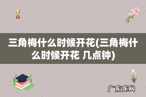 三角梅什么时候开花 几点钟 三角梅什么时候开花