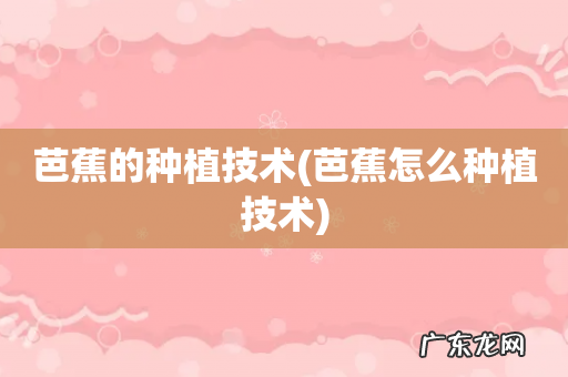 芭蕉怎么种植技术 芭蕉的种植技术