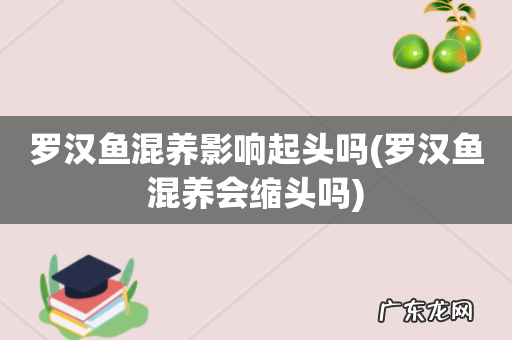 罗汉鱼混养会缩头吗 罗汉鱼混养影响起头吗