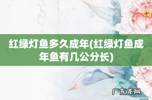 红绿灯鱼成年鱼有几公分长 红绿灯鱼多久成年