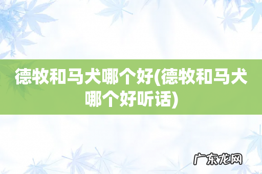 德牧和马犬哪个好听话 德牧和马犬哪个好