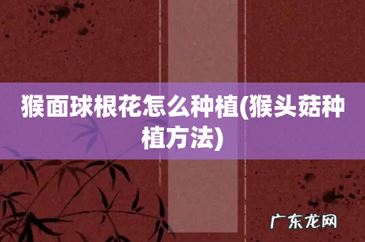 猴头菇种植方法 猴面球根花怎么种植