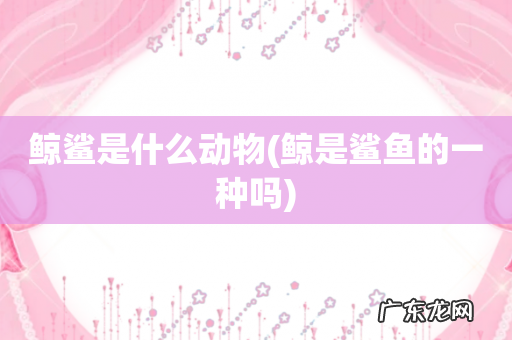 鲸是鲨鱼的一种吗 鲸鲨是什么动物