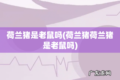 荷兰猪荷兰猪是老鼠吗 荷兰猪是老鼠吗