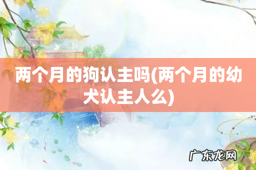 两个月的幼犬认主人么 两个月的狗认主吗