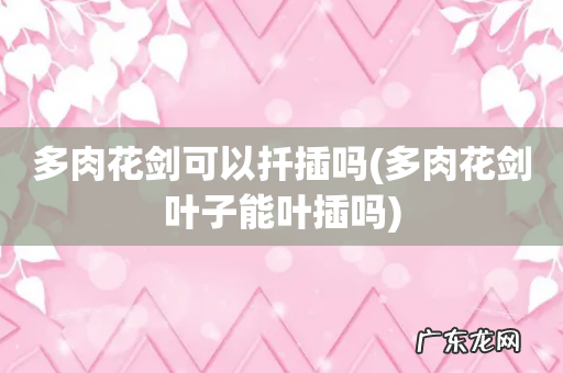 多肉花剑叶子能叶插吗 多肉花剑可以扦插吗