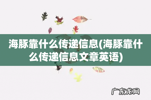 海豚靠什么传递信息文章英语 海豚靠什么传递信息