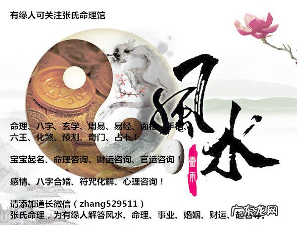 后门什么样的风水比较好 门前有座桥的风水好吗