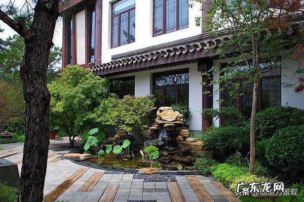 无花果的寓意与风水 无花果对风水的影响