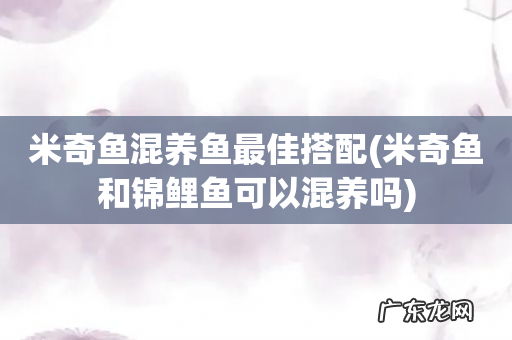 米奇鱼和锦鲤鱼可以混养吗 米奇鱼混养鱼最佳搭配