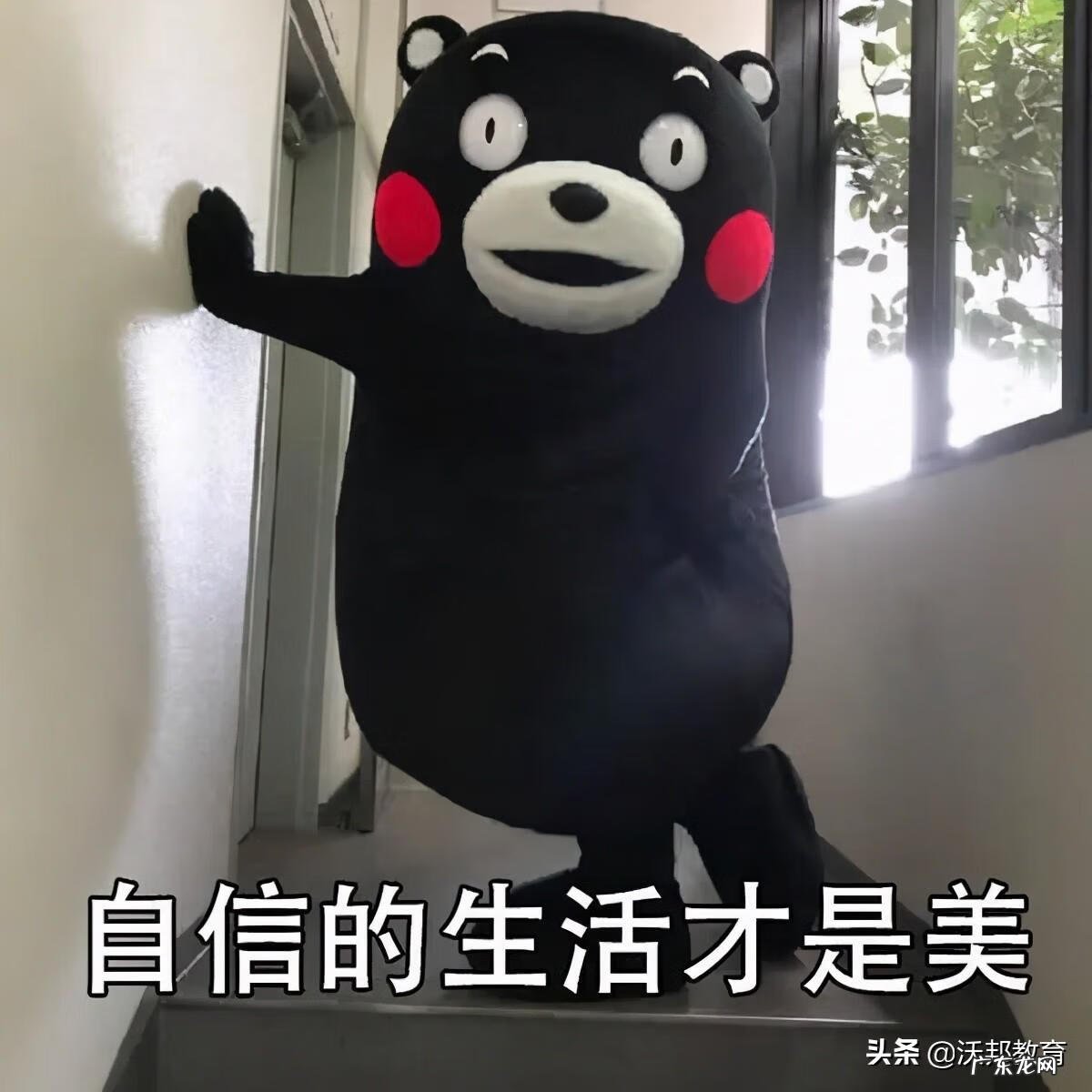 美国名校托福录取分数线 美国大学托福分数怎么算