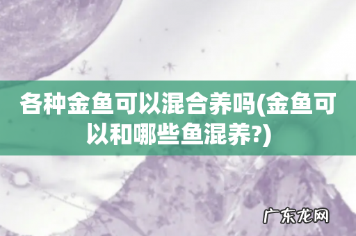 金鱼可以和哪些鱼混养? 各种金鱼可以混合养吗