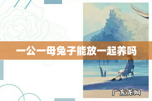 一公一母兔子能放一起养吗