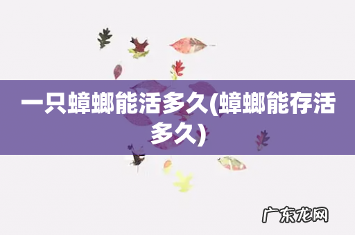 蟑螂能存活多久 一只蟑螂能活多久