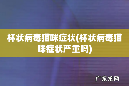 杯状病毒猫咪症状严重吗 杯状病毒猫咪症状