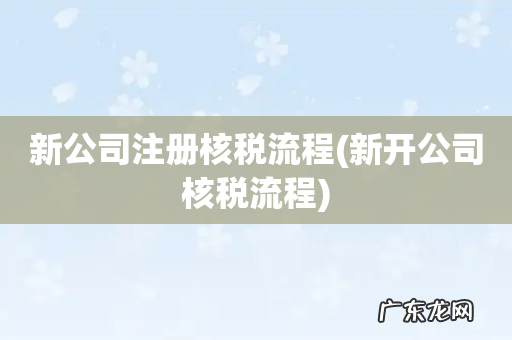 新开公司核税流程 新公司注册核税流程