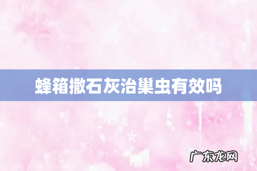 蜂箱撒石灰治巢虫有效吗