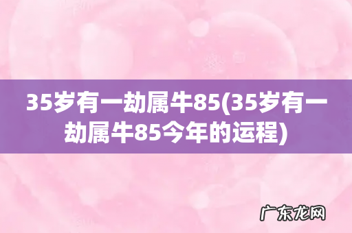 35岁有一劫属牛85今年的运程 35岁有一劫属牛85