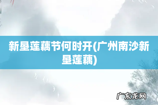 广州南沙新垦莲藕 新垦莲藕节何时开