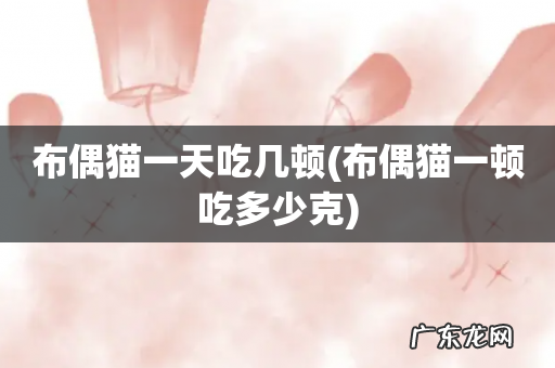 布偶猫一顿吃多少克 布偶猫一天吃几顿