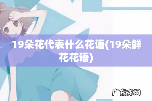 19朵鲜花花语 19朵花代表什么花语