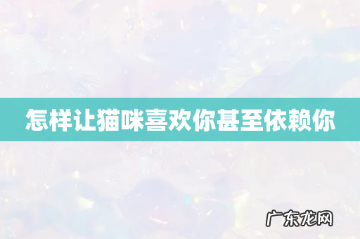 怎样让猫咪喜欢你甚至依赖你