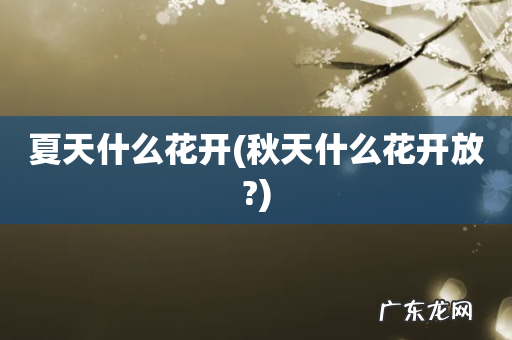 秋天什么花开放? 夏天什么花开