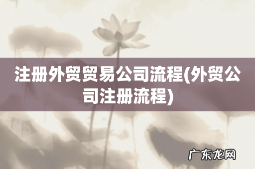 外贸公司注册流程 注册外贸贸易公司流程