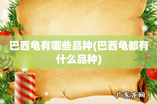 巴西龟都有什么品种 巴西龟有哪些品种