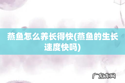 燕鱼的生长速度快吗 燕鱼怎么养长得快