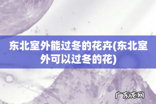 东北室外可以过冬的花 东北室外能过冬的花卉
