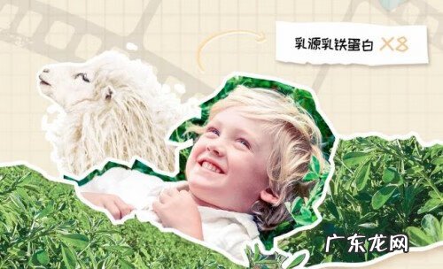 新西兰karicare奶粉怎么样 新西兰karicare奶粉哪里有的卖