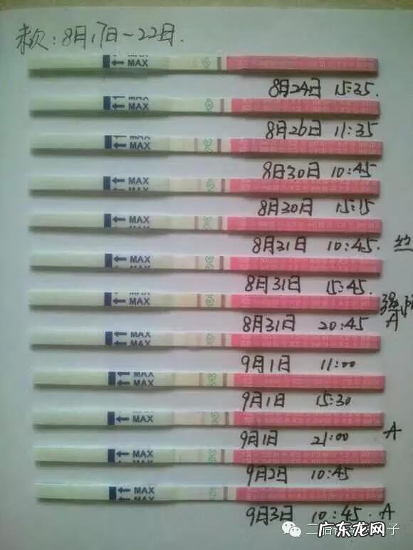 排卵试纸害了不少人 排卵试纸怎么看是排卵