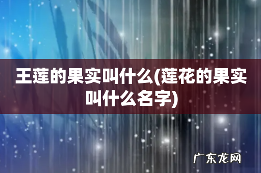 莲花的果实叫什么名字 王莲的果实叫什么