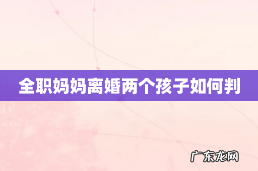 全职妈妈离婚两个孩子如何判