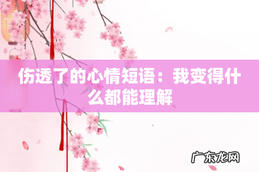 伤透了的心情短语:我变得什么都能理解