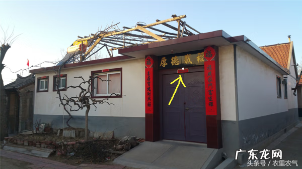 楼顶种树讲究的风水 楼顶望田野风水