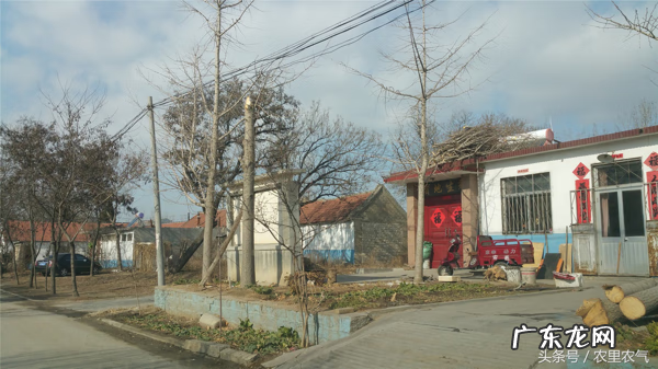 楼顶种树讲究的风水 楼顶望田野风水