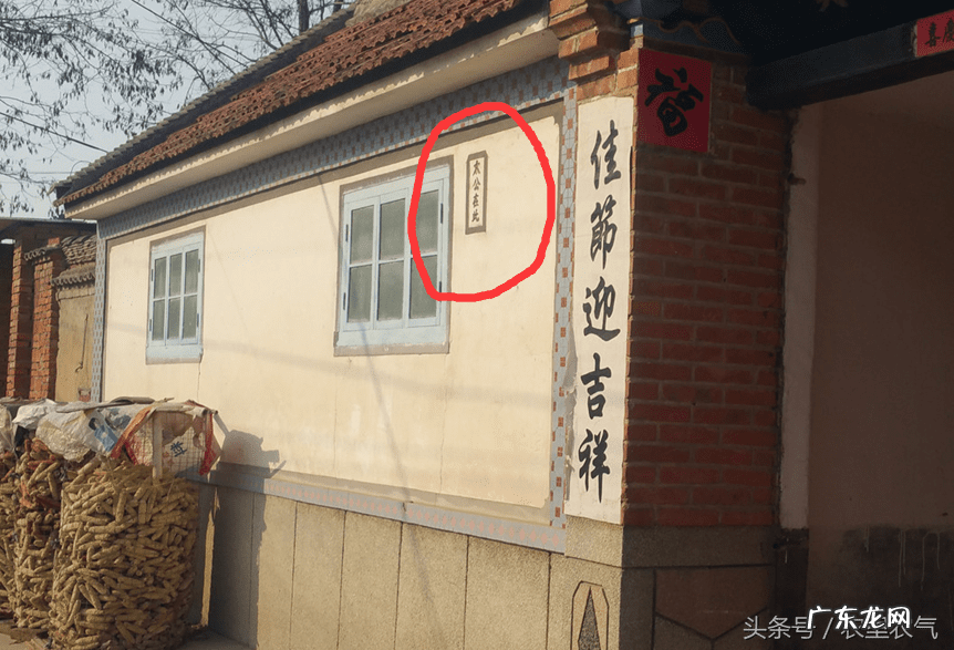 楼顶种树讲究的风水 楼顶望田野风水