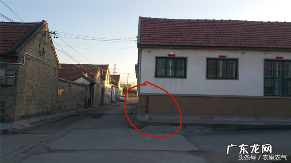 楼顶种树讲究的风水 楼顶望田野风水