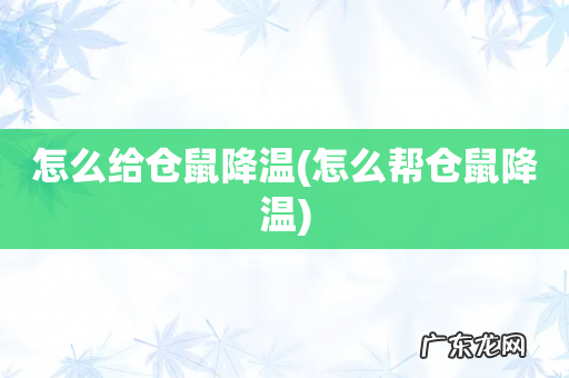 怎么帮仓鼠降温 怎么给仓鼠降温