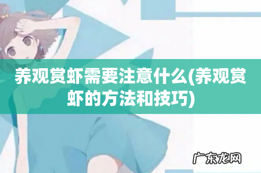 养观赏虾的方法和技巧 养观赏虾需要注意什么