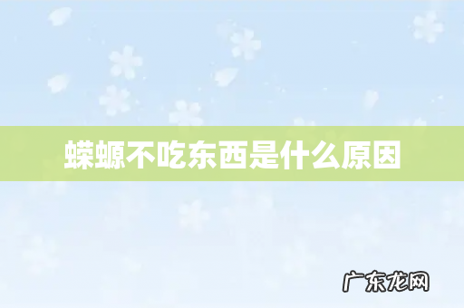 蝾螈不吃东西是什么原因