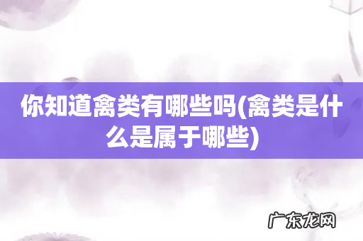 禽类是什么是属于哪些 你知道禽类有哪些吗