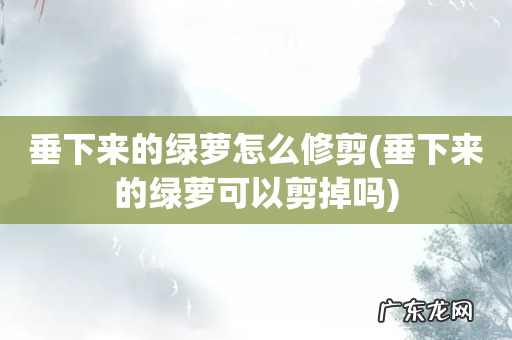 垂下来的绿萝可以剪掉吗 垂下来的绿萝怎么修剪