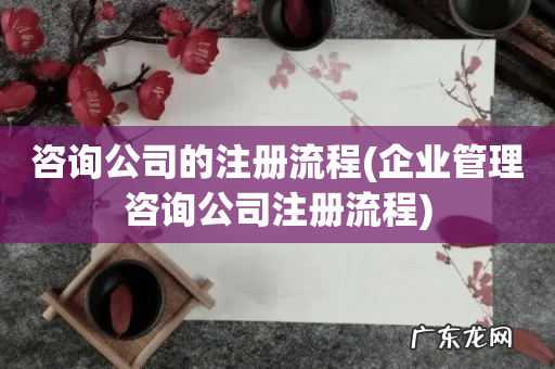 企业管理咨询公司注册流程 咨询公司的注册流程