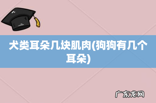 狗狗有几个耳朵 犬类耳朵几块肌肉