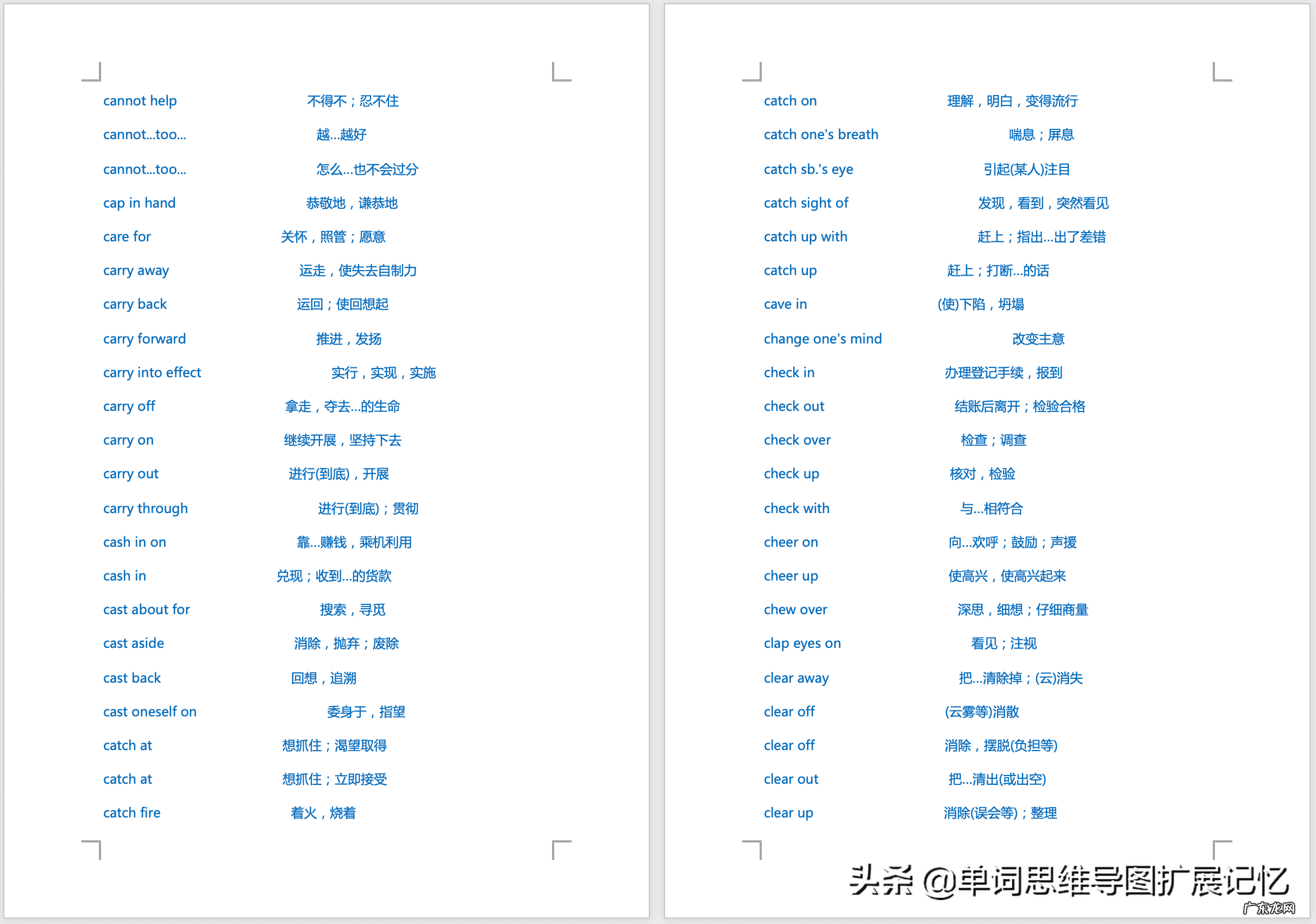 全面发展的英文单词 这个现象用英语怎么说