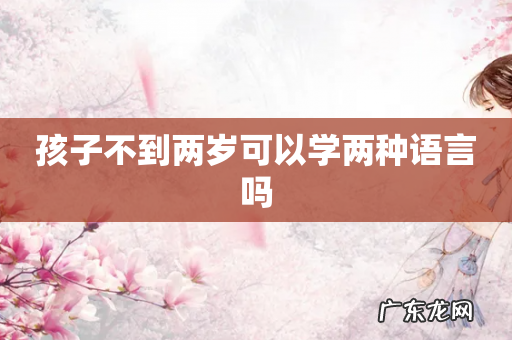 孩子不到两岁可以学两种语言吗